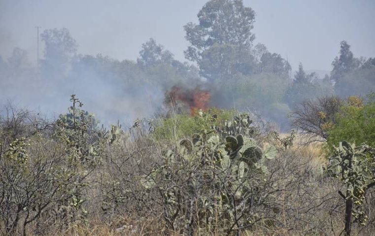 Siguen incendios forestales en SLP; van 11 mil hectáreas afectadas