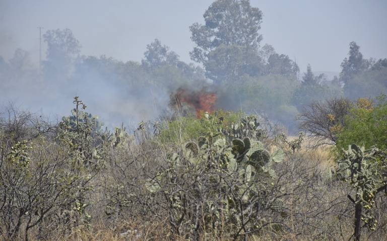 Siguen incendios forestales en SLP; van 11 mil hectáreas afectadas