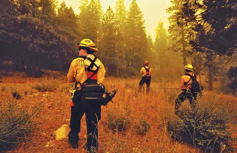 Más de cien incendios activos consumen bosques de EU