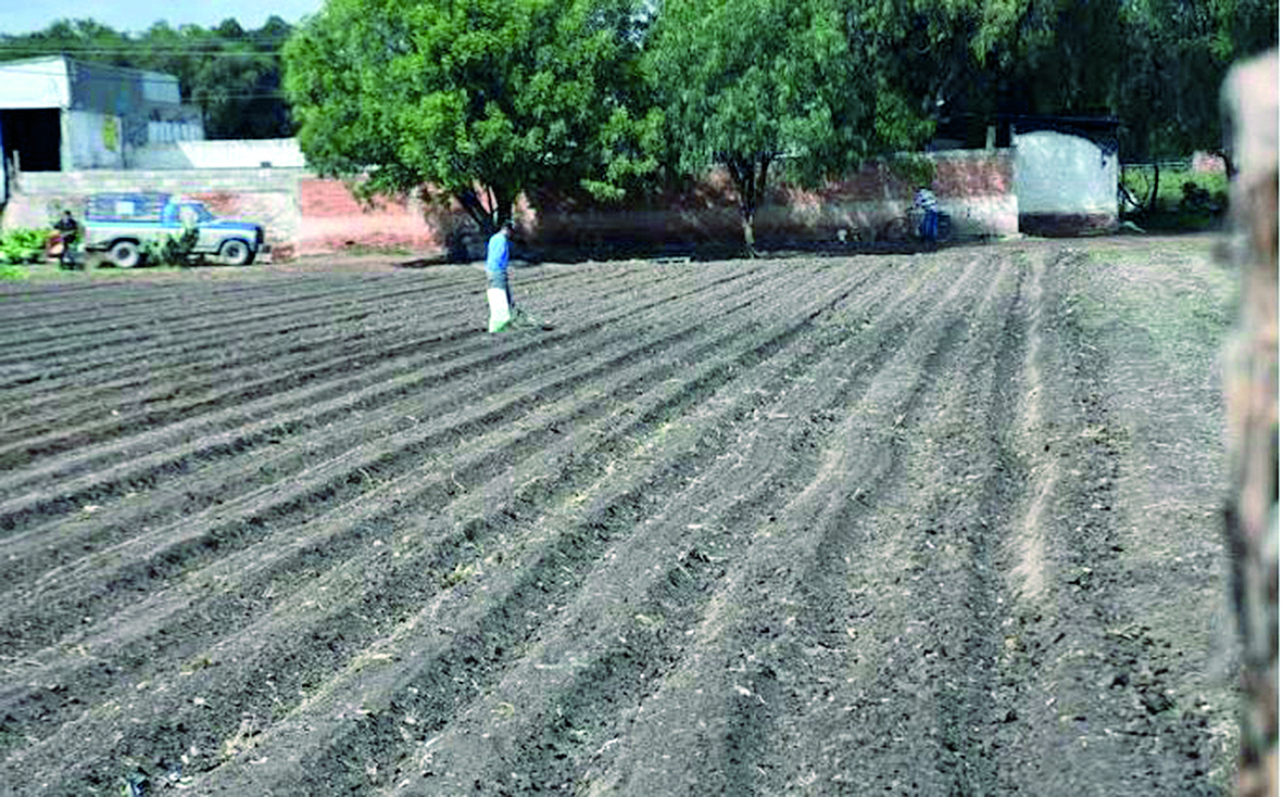 Desbordamiento del Río Santiago siniestró más de 400 hectáreas agrícolas en Soledad