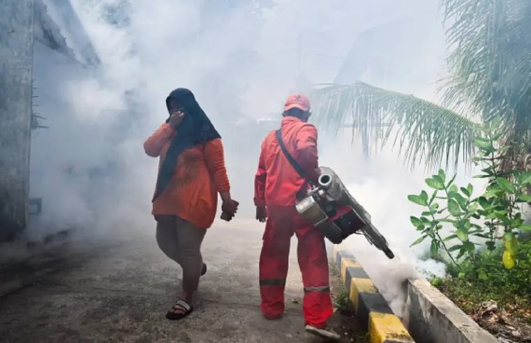 Alerta en Honduras: registra más de cien muertos por dengue