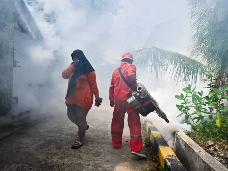 Alerta en Honduras: registra más de cien muertos por dengue