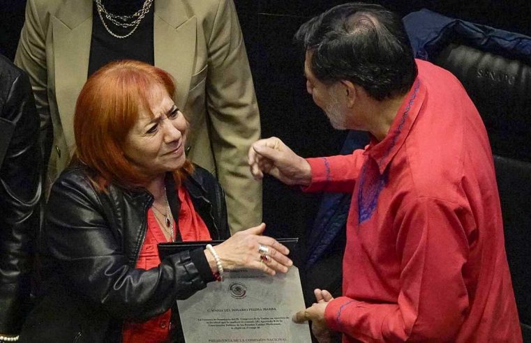 Defensores de derechos humanos lamentan reelección de Piedra en CNDH; denuncian expulsión del Senado