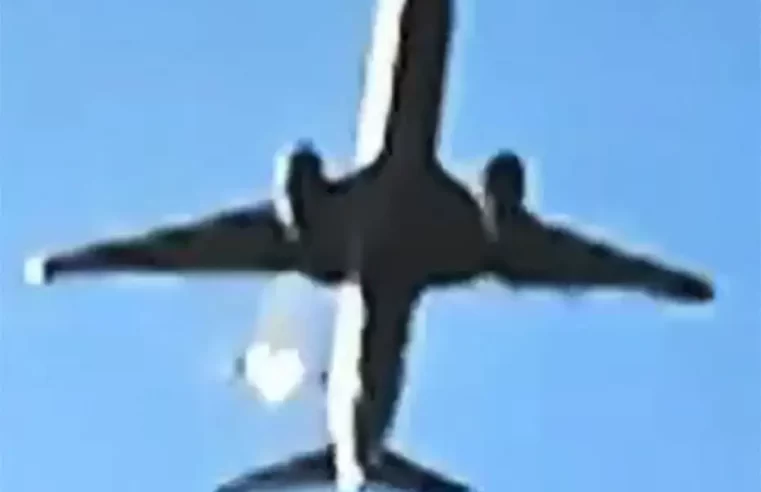 Luto en Corea del Sur: sobrevivieron al avionazo dos de 181 pasajeros