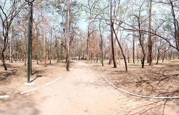 Sin riego ni obra, en abandono dejan al parque de Morales