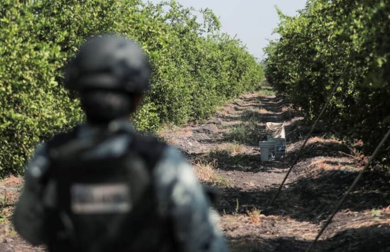Ejecutan a productor limonero Rogelio Escobedo en Michoacán; era víctima de extorsiones