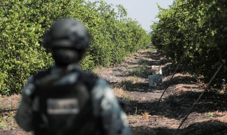 Ejecutan a productor limonero Rogelio Escobedo en Michoacán; era víctima de extorsiones