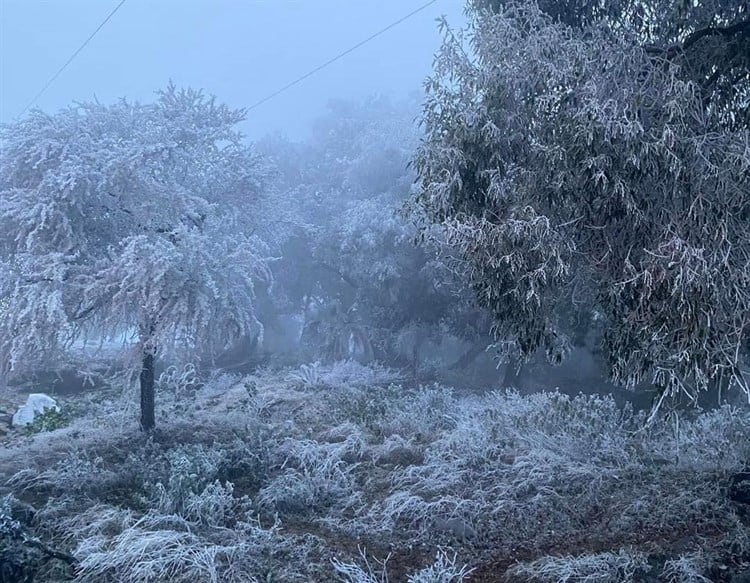 Amanecen a -4°C en la sierra alta de Xilitla
