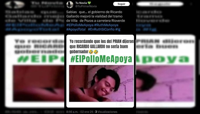 Ilegal y anticipada campaña politicaen internet a favor del gobernador Gallardo y su esposa que es Senadora