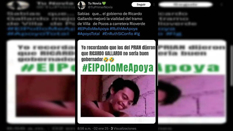 Ilegal y anticipada campaña politicaen internet a favor del gobernador Gallardo y su esposa que es Senadora