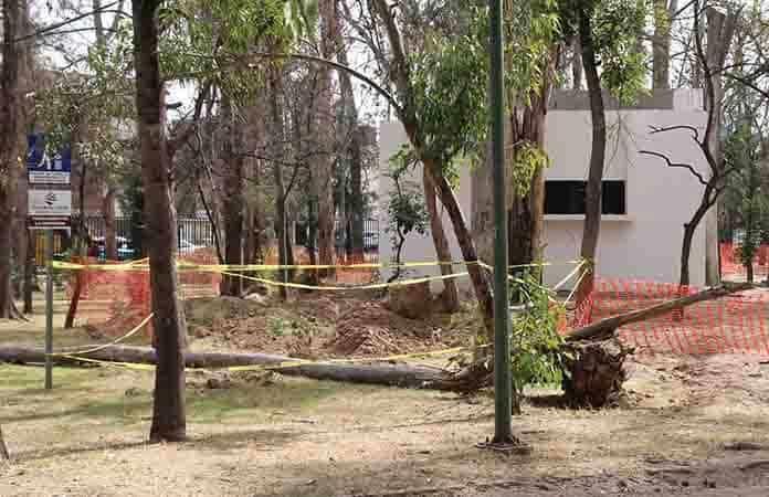 Se seca el Parque de Morales