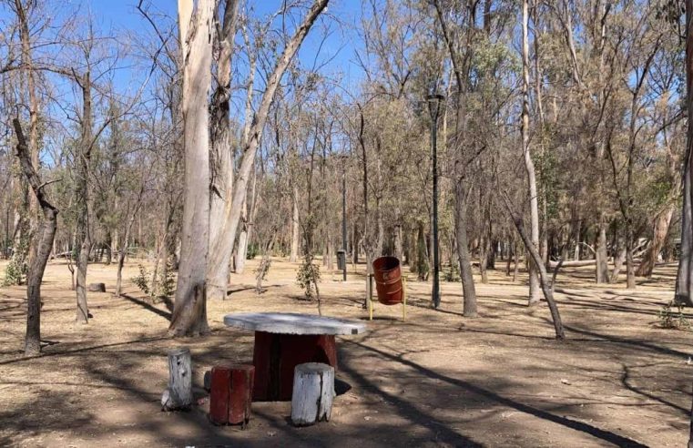 Dice Gallardo sobre el Parque de Morales que “Cada día está más jodido”