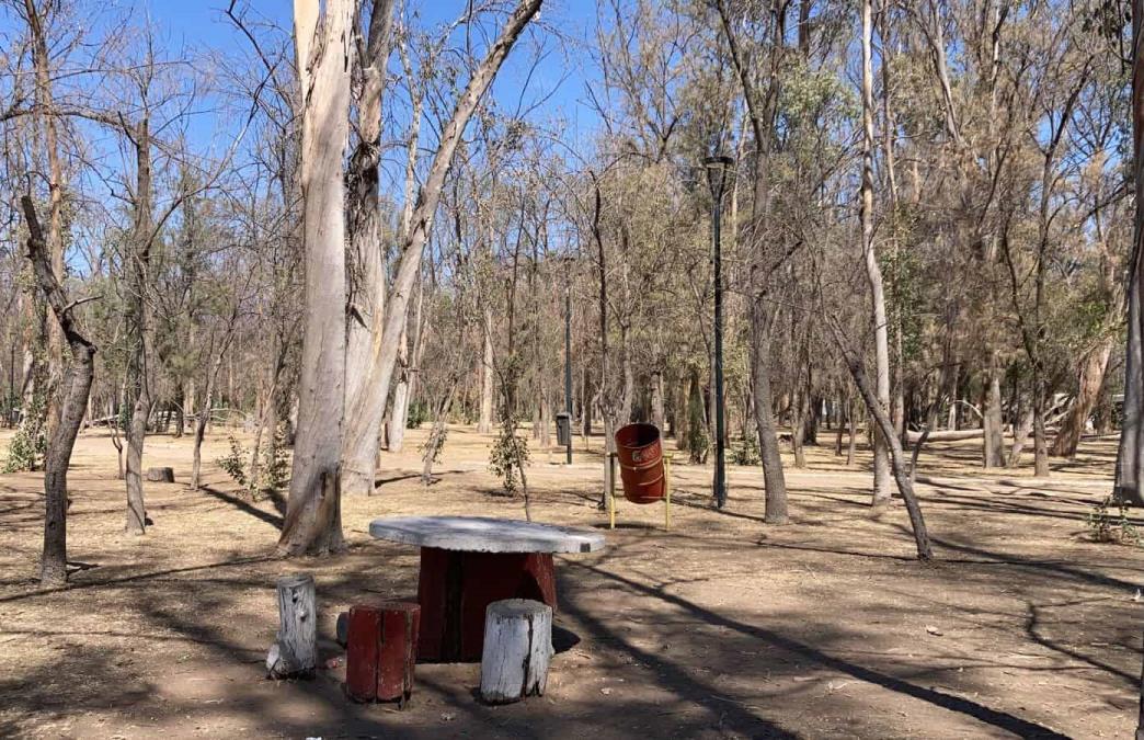 Dice Gallardo sobre el Parque de Morales que “Cada día está más jodido”